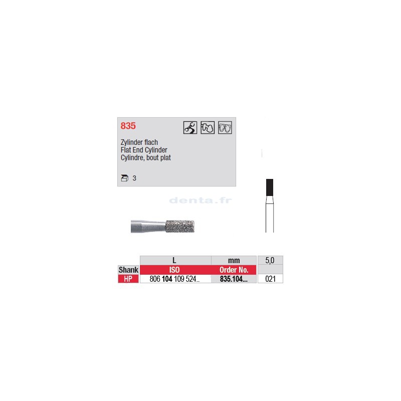 Diamant PM cylindre bout plat - 835.104.021