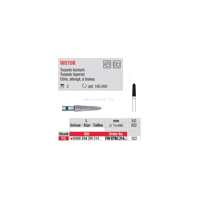 Diamant WhiteTIGER cône allongé à biseau (grain fin) - FW878K.314.022