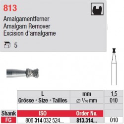 813.314.010-Excision d'amalgame