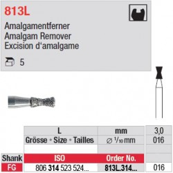 813L.314.016-Excision d'amalgame