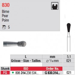 G 830.314.021-Poire
