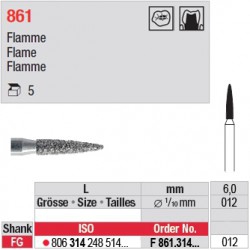 F 861.314.012 - Flamme