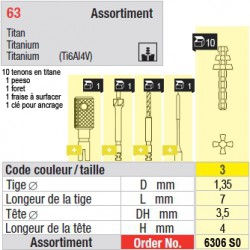 6306SO - Assortiment tenons taille 3 (courts)