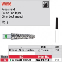  GW856.314.018 - White Tiger - Cône, bord arrondi 