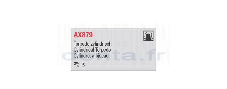 AX879 - cylindre long, à biseau