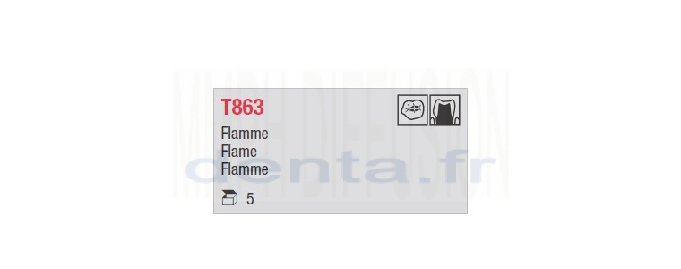 T863 - flamme