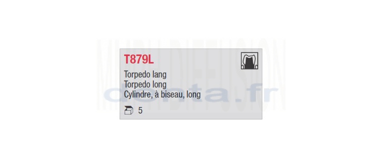 T879L - cylindre long, à biseau