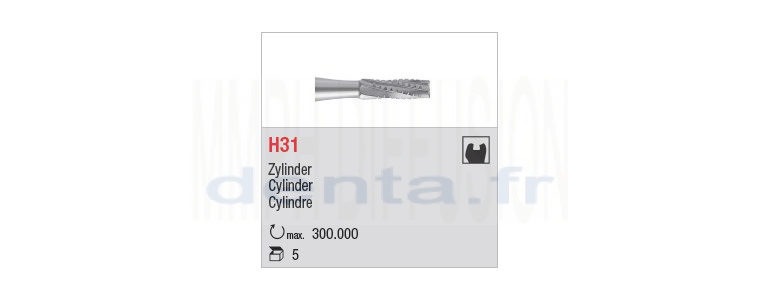 H31 - denture croisée standard
