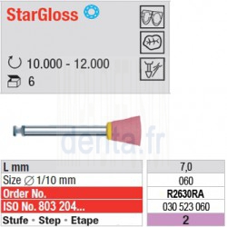  StarGloss - étape 2 - R2630RA 
