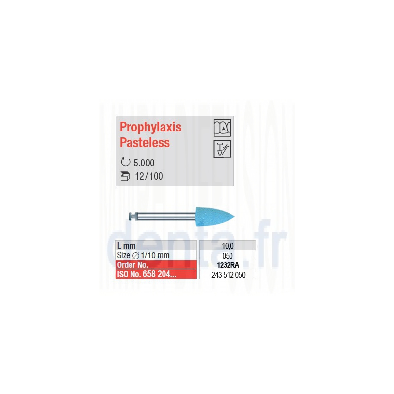  Prophylaxis Pasteless - 1232RA 