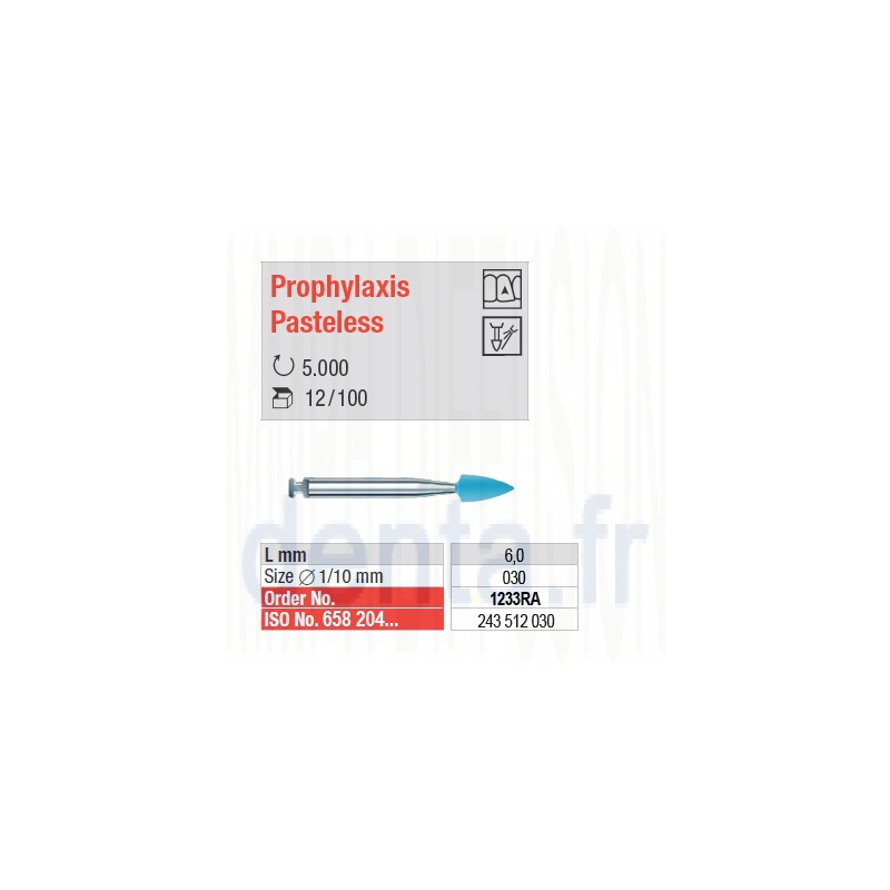  Prophylaxis Pasteless - 1233RA 