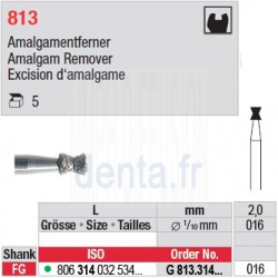 G 813.314.016-Excision d'amalgame