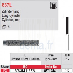 837L.314.012-Cylindre, long