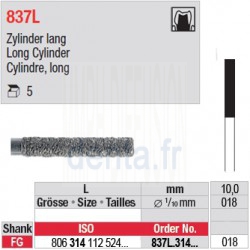 837L.314.018-Cylindre, long