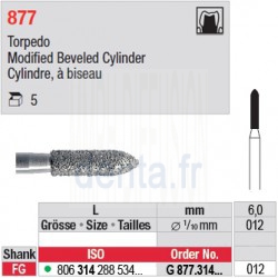 G 877.314.012 - Cylindre, à biseau