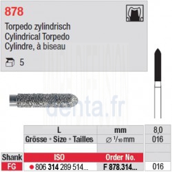 F 878.314.016 - Cylindre, à biseau