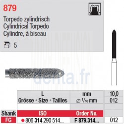 F 879.314.012 - Cylindre, à biseau