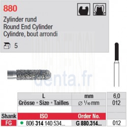 G 880.314.012 - Cylindre, bout arrondi