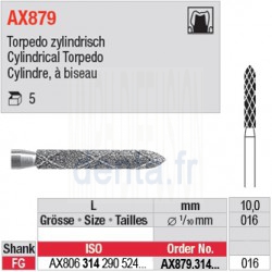 AX879.314.016 - Cylindre, à biseau
