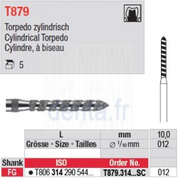 T879.314.012SC - Cylindre, à biseau