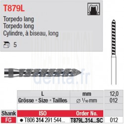 T879L.314.012SC - Cylindre, à biseau, long