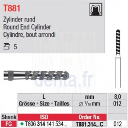 T881.314.012C - Cylindre, bout arrondi