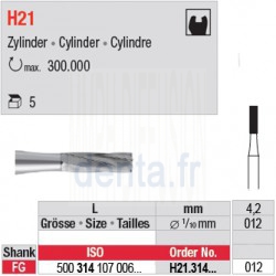  H21.314.012 - Fraise carbure de tungstène - FG Cylindre 