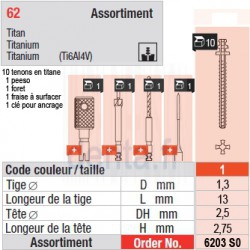 6203SO - Assortiment tenons taille 1 (courts)