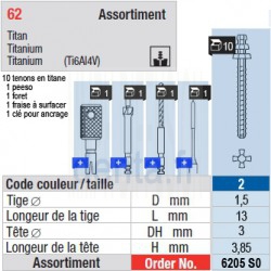 6205SO - Assortiment tenons taille 2 (longs)