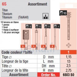 6503SO - Assortiment tenons taille 1 (longs)