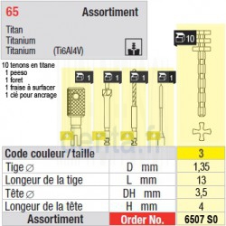 6507SO - Assortiment tenons taille 3 (longs)