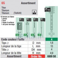 6509SO - Assortiment tenons taille 4 (longs)