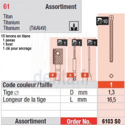 6103SO - Assortiment tenons taille 1 (longs)