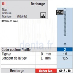 6113-10 - recharge tenons taille 2 (longs)
