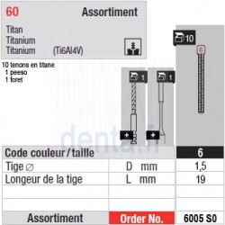 6005SO - Assortiment tenons taille 6