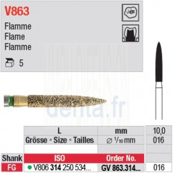  GV863.314.016 - DIACUT - Flamme 