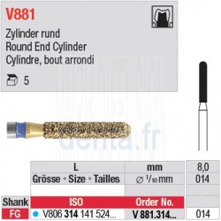  V881.314.014 - DIACUT - Cylindre, bout arrondi 