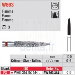  FW863.314.016 - White Tiger - Flamme 