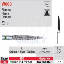  GW863.314.012 - White Tiger - Flamme 