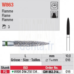  GW863.314.016 - White Tiger - Flamme 